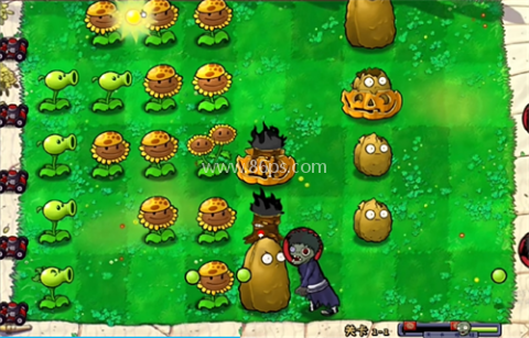 pvz火影忍者版
