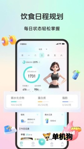 轻食运动 轻食运动