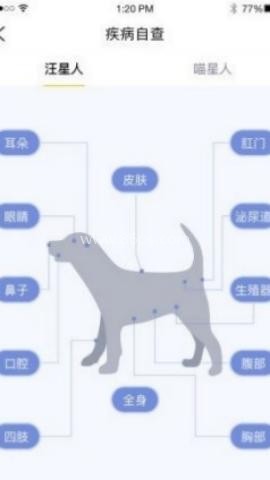 宠家家 宠家家