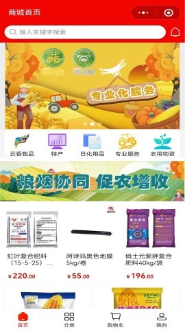云香印象