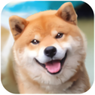 秋田犬模拟器