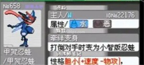 口袋妖怪究极绿宝石纪念版 第19张图