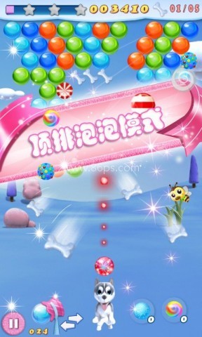 小狗泡泡