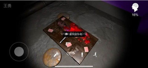 孙美琪疑案兰芝