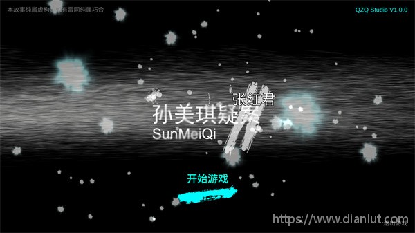 孙美琪疑案张红君