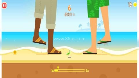 动物花园