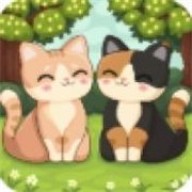科媞奇联机版