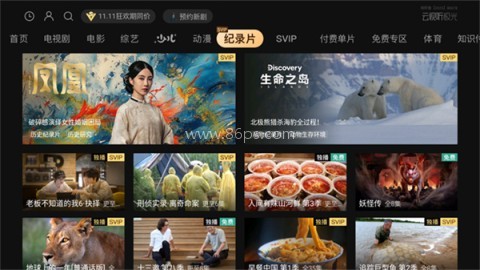 云视听极光电视版