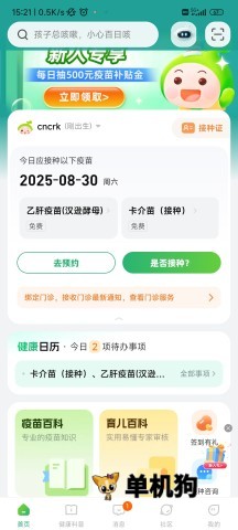 小豆苗 小豆苗