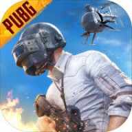 pubg国际服手游亚服
