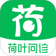荷叶问诊商家版