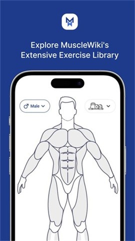 MuscleWiki