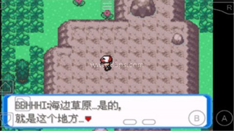口袋妖怪圣灰汉化版