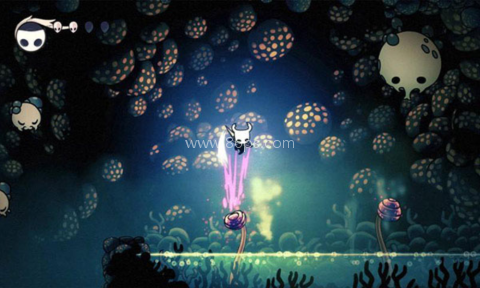 空洞骑士完美移植版 空洞骑士完美移植版