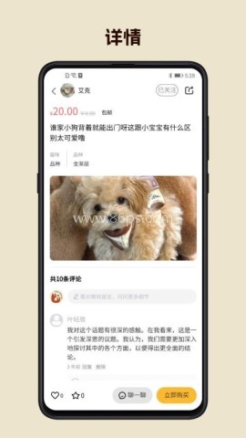 宠宠很忙