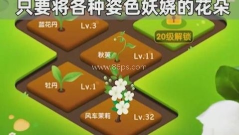 幸运花园天降红包 第1张图