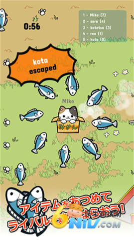 公园里的野猫 公园里的野猫