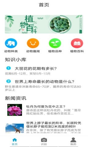 植物品鉴 第1张图