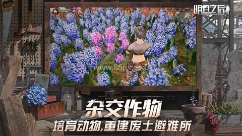 明日之后百度版本