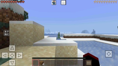 SurvivalCraft4 SurvivalCraft4
