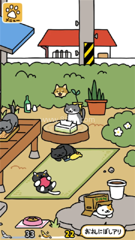 猫咪后院2中文版