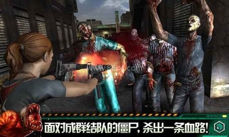职业杀手僵尸之城2直装版