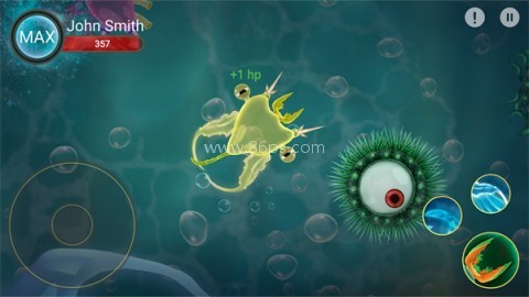 微生物世界孢子进化 微生物世界孢子进化