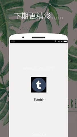 tumblr官方正版