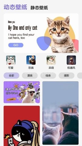 可爱喵喵壁纸大全 第1张图