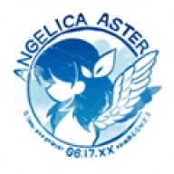 ANGELICA ASTER
