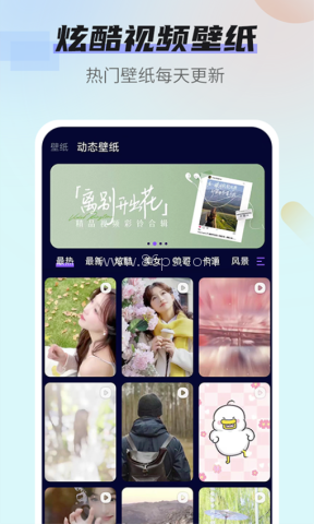 番茄动态壁纸 番茄动态壁纸