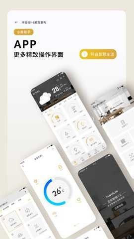 小泰助手
