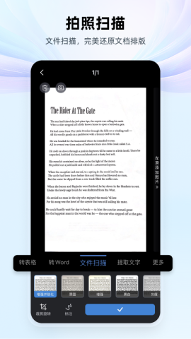 WPS Office