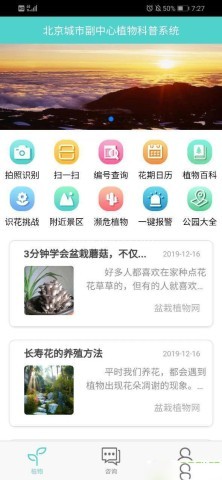植物科普 第2张图