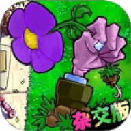 植物派对游乐园