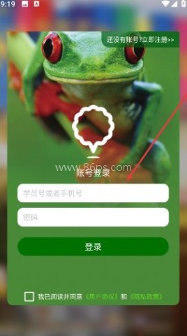 绘本英语 第3张图