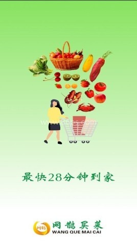 网鹊买菜