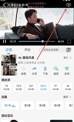 鱼儿4k 第3张图