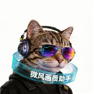 微风画质助手