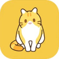 领养一只流浪猫