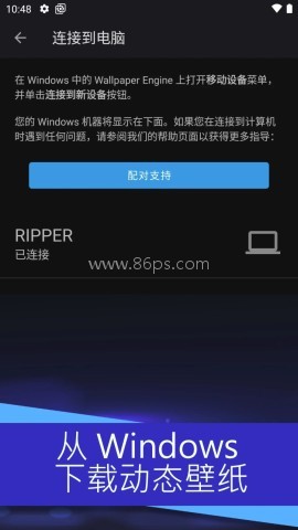 wallpaper麻匪壁纸