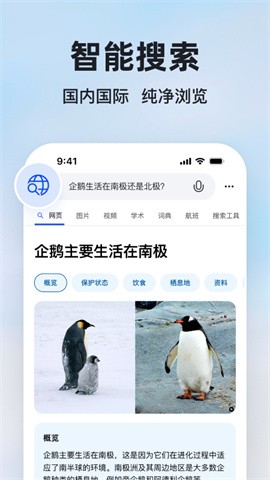 必应bing