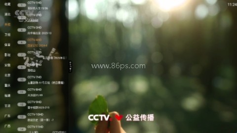 钻石TV 第1张图