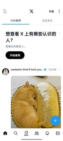 黑x