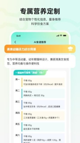 宠拍档