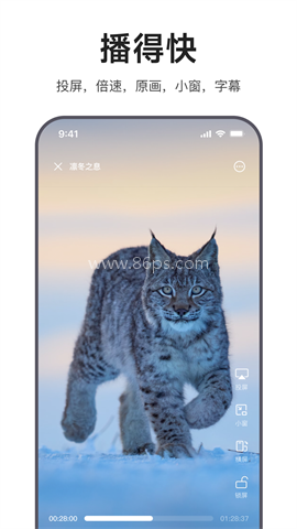 迅雷浏览器最新版