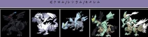 口袋妖怪黑白版 第5张图