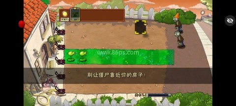 PvZ