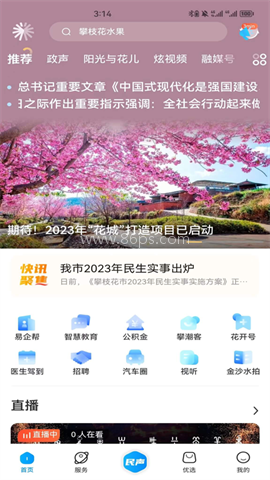 攀枝花开