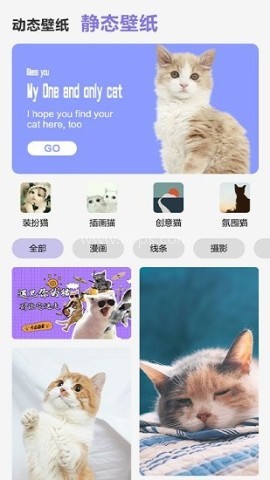 可爱喵喵壁纸大全 第2张图